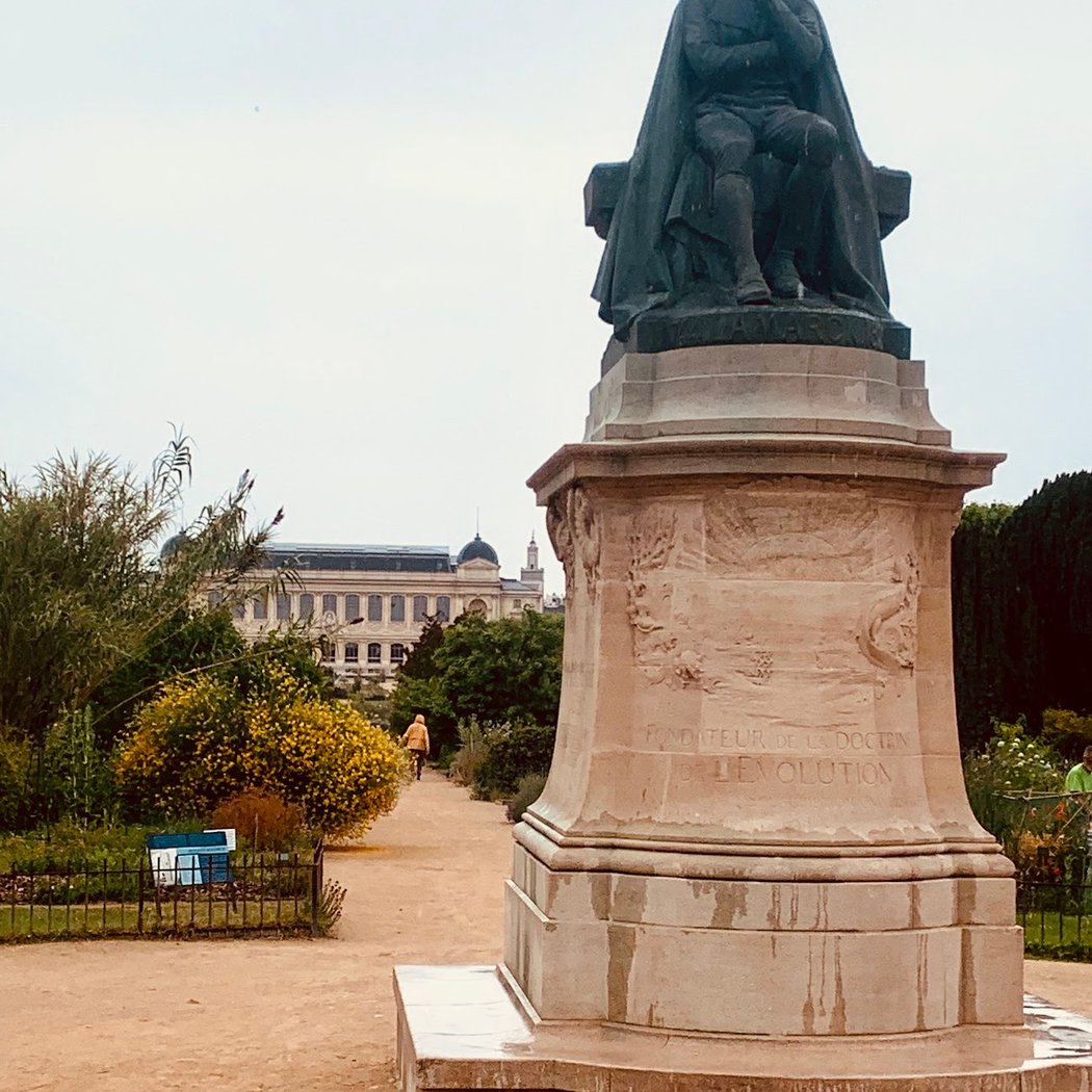 Jardin de roches et de pivoines 2